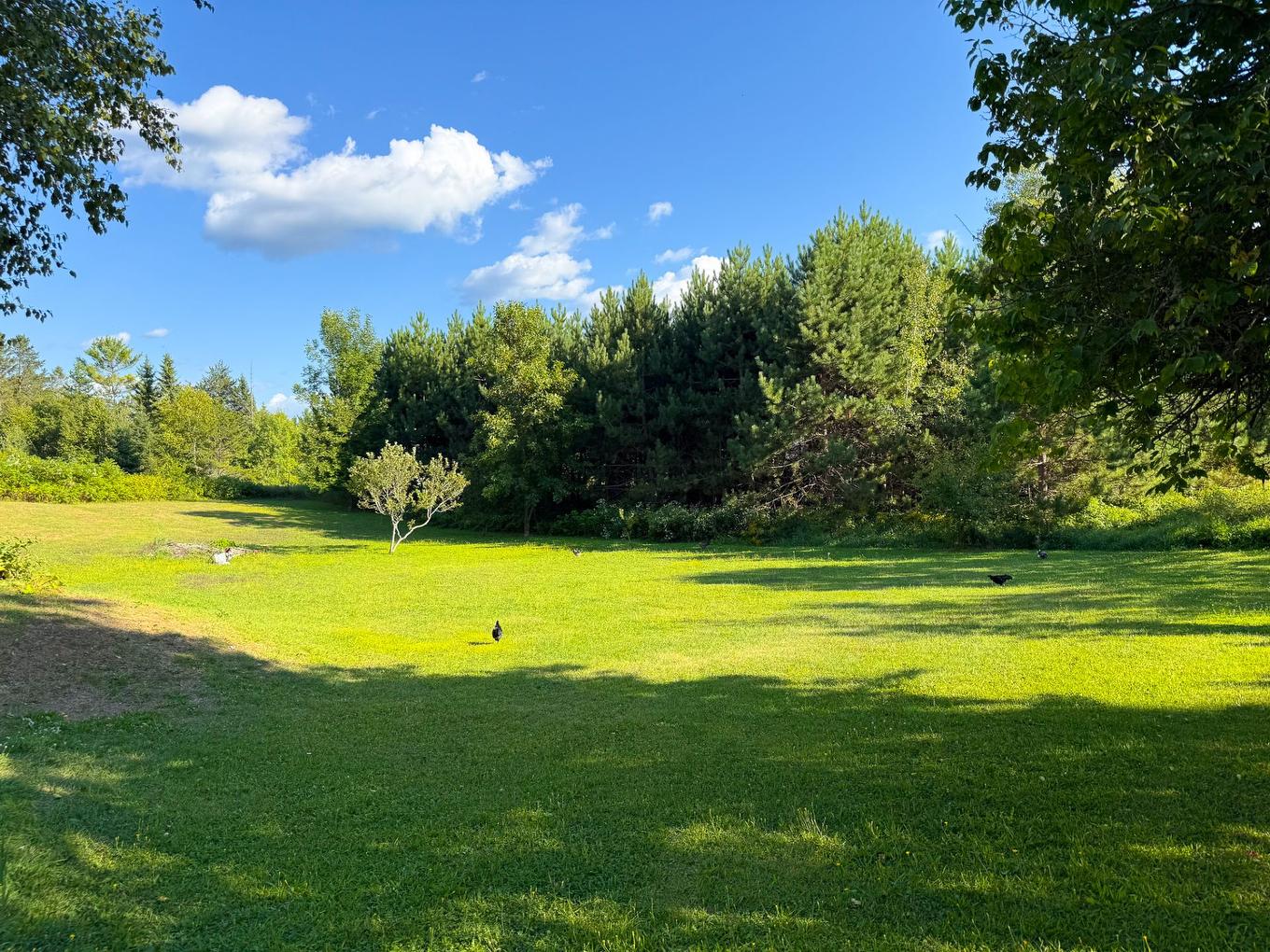 Exterior - 525 Route Principale, Aumond, QC - Outdoor