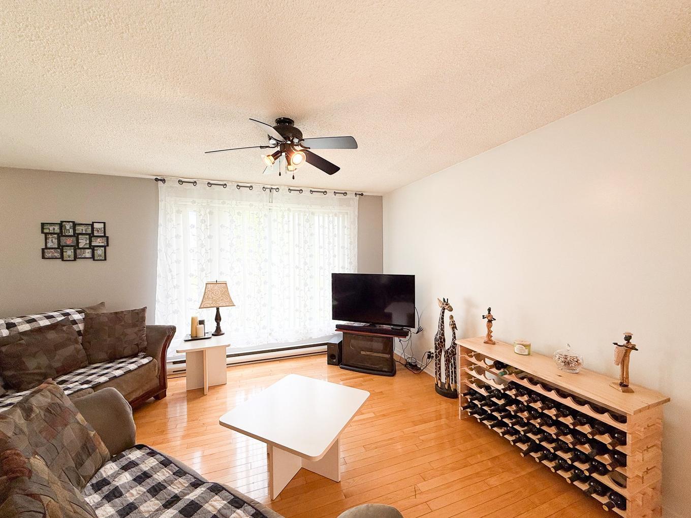 Salon - 39 Mtée Chauret, Gatineau (Gatineau), QC - Indoor Photo Showing Living Room