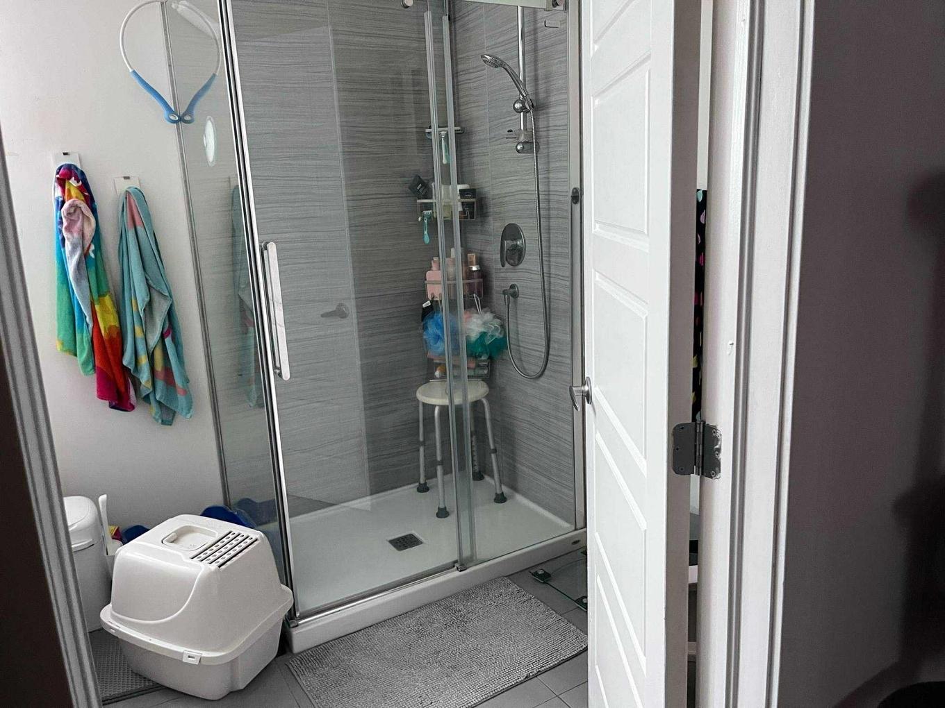 Bachelor - 9740 - 9744 Rue Henri-Piché, Mirabel, QC - Indoor Photo Showing Bathroom