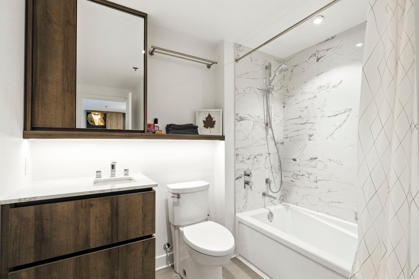 Salle de bains - 813-170 Rue Rioux, Montréal (Le Sud-Ouest), QC - Indoor Photo Showing Bathroom