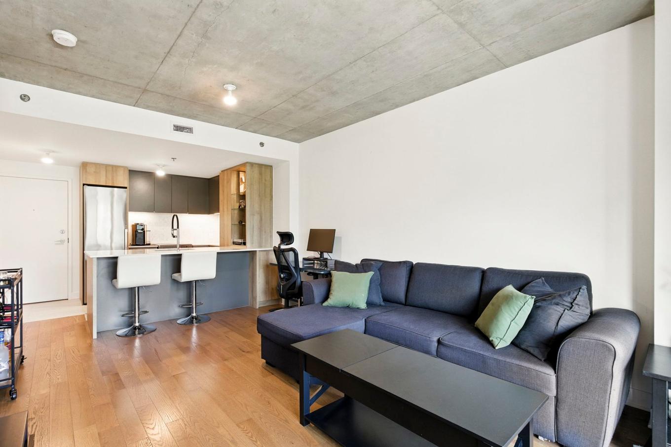 Salon - 813-170 Rue Rioux, Montréal (Le Sud-Ouest), QC - Indoor Photo Showing Living Room