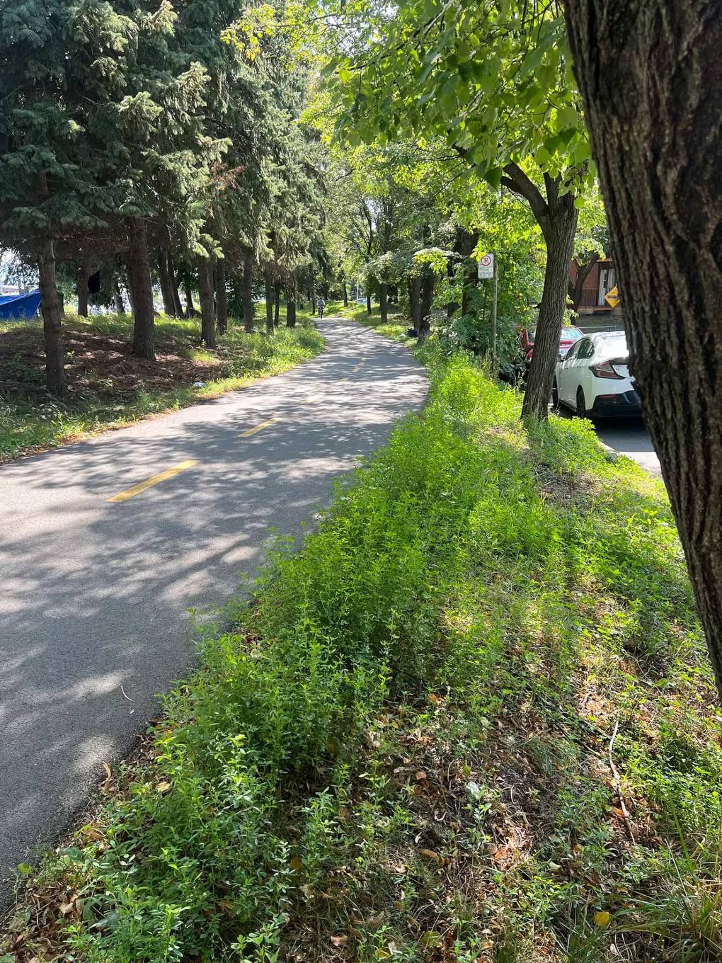 Other - 562 Rue Cuvillier, Montréal (Mercier/Hochelaga-Maisonneuve), QC - Outdoor