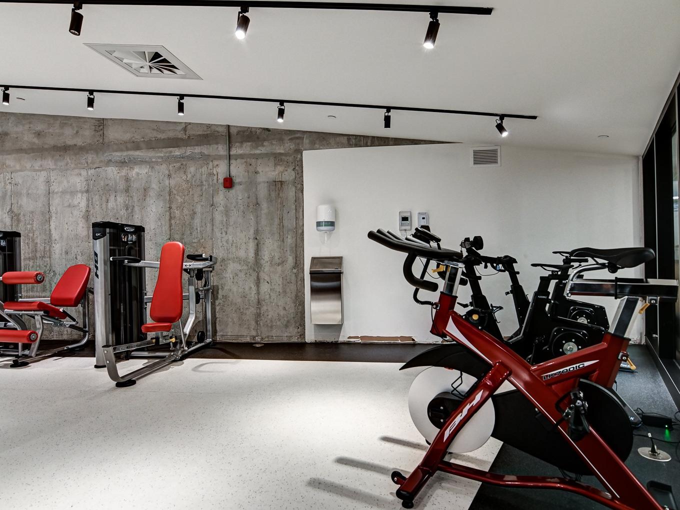 Salle d'exercice - 427-1550 Rue Des Bassins, Montréal (Le Sud-Ouest), QC - Indoor