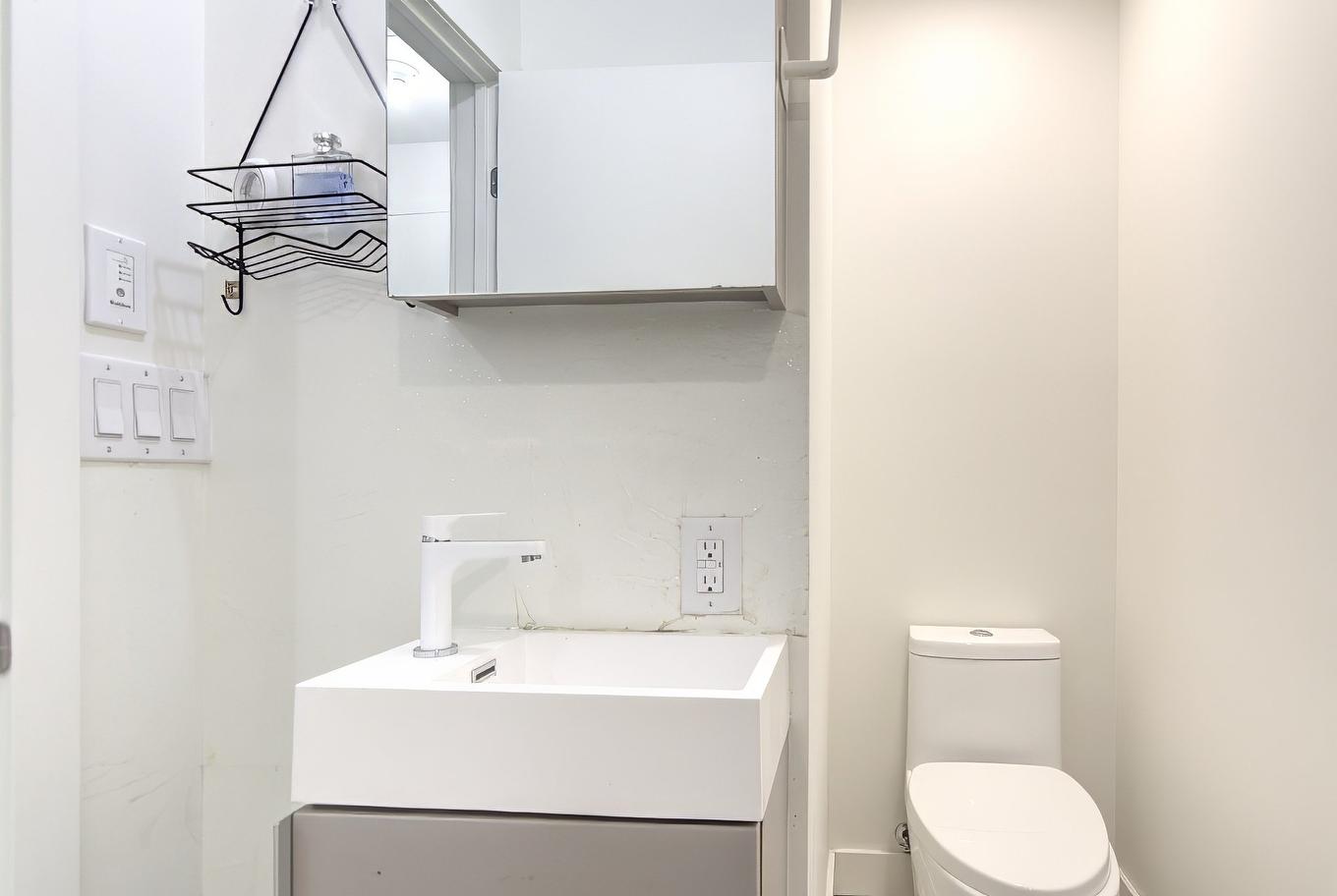 Salle de bains - 427-1550 Rue Des Bassins, Montréal (Le Sud-Ouest), QC - Indoor Photo Showing Bathroom