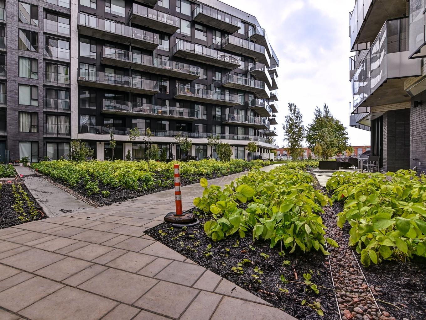 Cour - 427-1550 Rue Des Bassins, Montréal (Le Sud-Ouest), QC - Outdoor