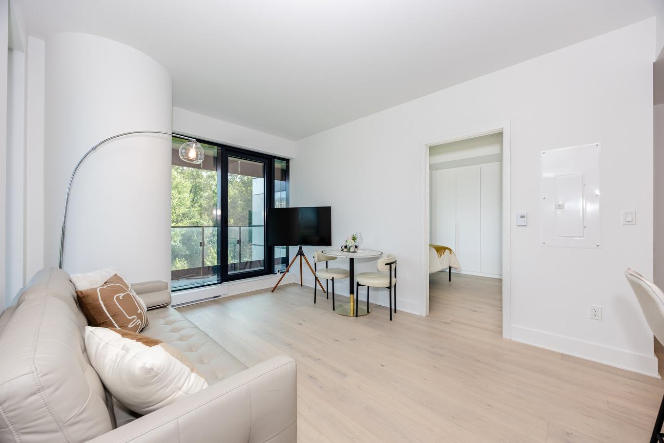 Salon - 302-1000 Rue André-Prévost, Montréal (Verdun/Île-Des-Soeurs), QC - Indoor Photo Showing Living Room