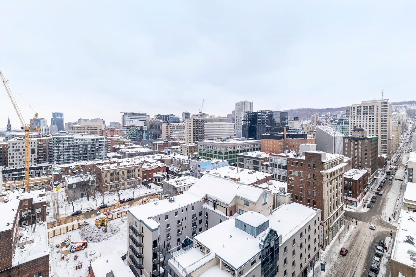 Overall view - 1703-1211 Rue Drummond, Montréal (Ville-Marie), QC - Outdoor With View