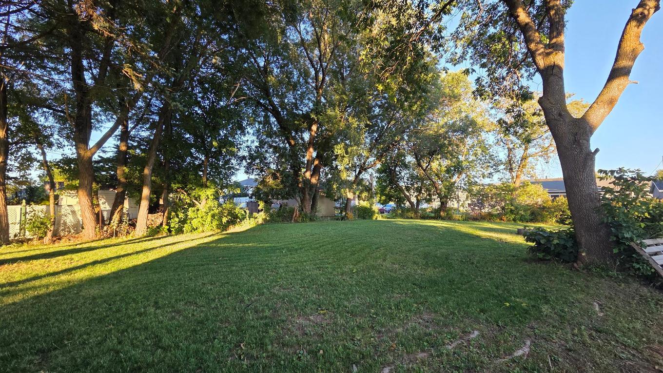 Backyard - 570B Av. Dumais, Saint-Pascal, QC - Outdoor