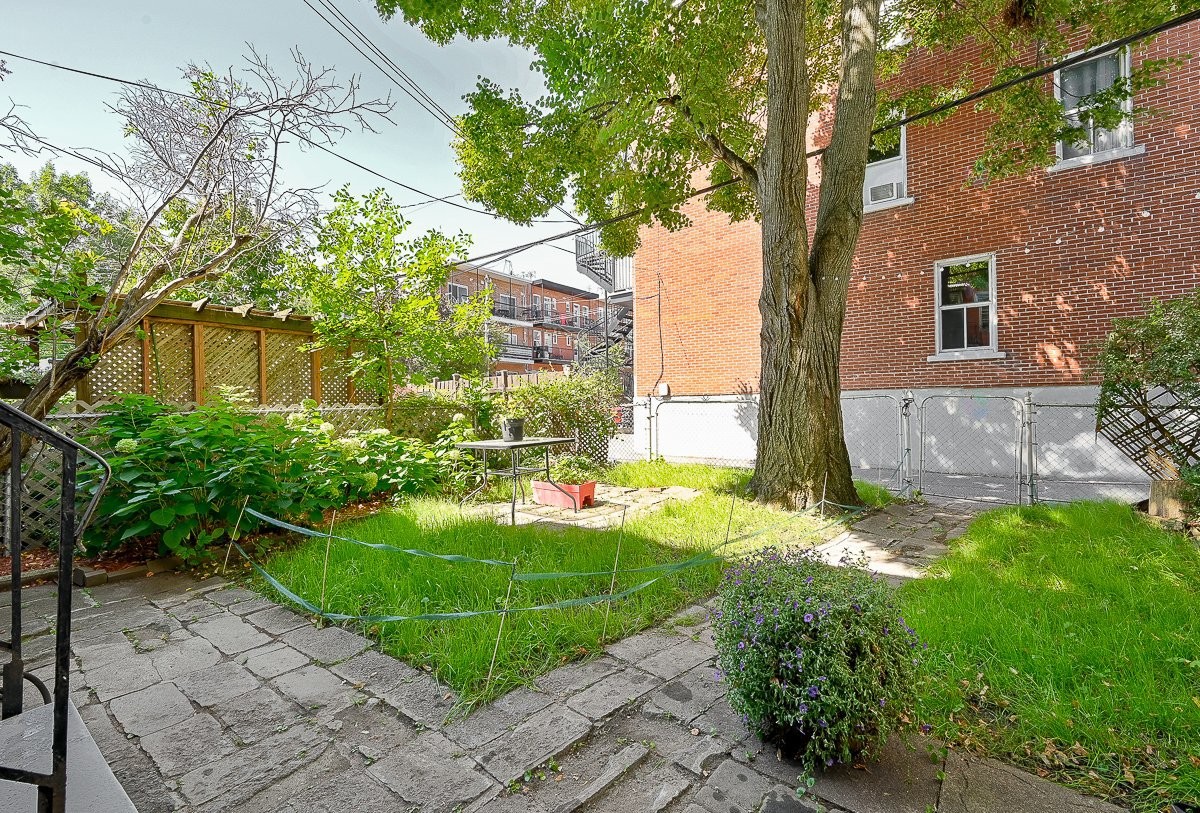 Courtyard - 3557 - 3561 Rue Dandurand, Montréal (Rosemont/La Petite-Patrie), QC - Outdoor