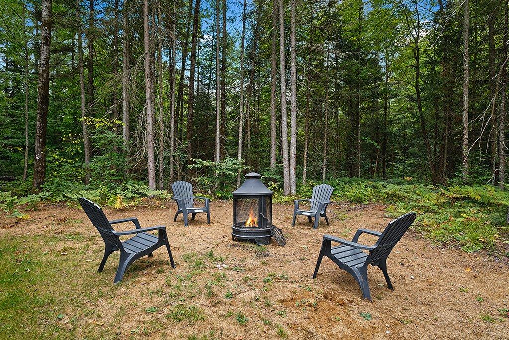 Backyard - 132 Route 303, Otter Lake, QC - Outdoor