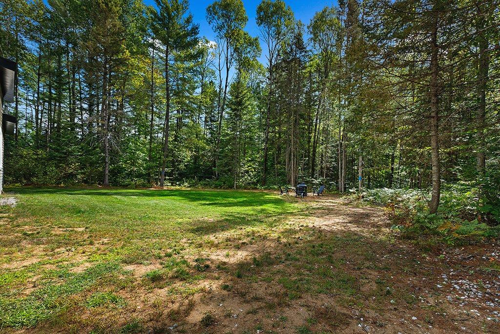 Backyard - 132 Route 303, Otter Lake, QC - Outdoor