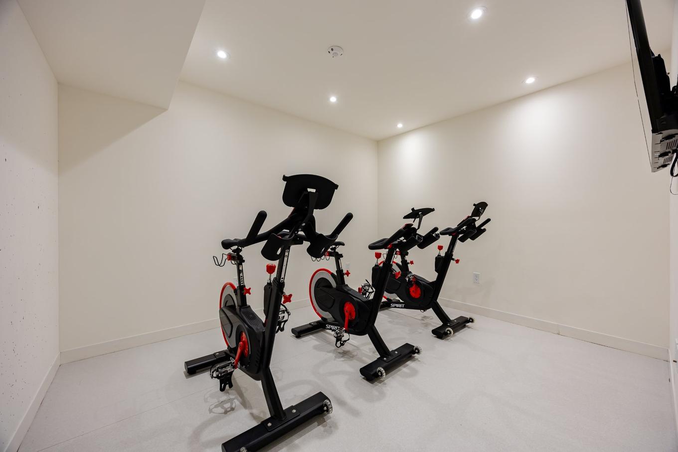 Other - 1606-360 Rue Mayor, Montréal (Ville-Marie), QC - Indoor Photo Showing Gym Room