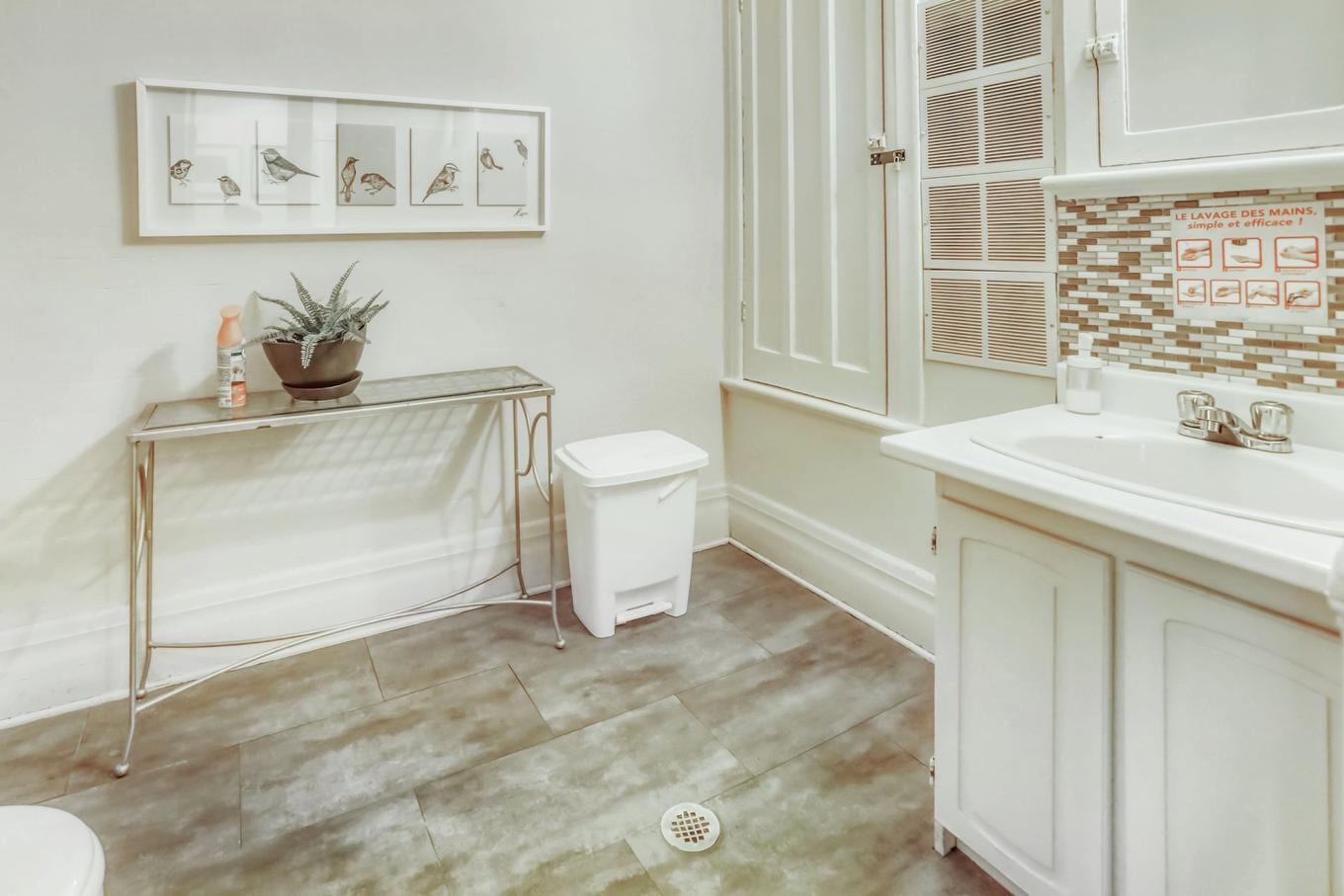 Bathroom - 8329 Rue St-Denis, Montréal (Villeray/Saint-Michel/Parc-Extension), QC