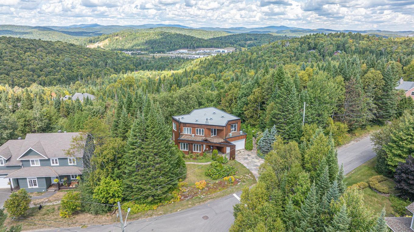 Photo aérienne - 19 Rue Des Chrysanthèmes, Sainte-Agathe-Des-Monts, QC - Outdoor With View