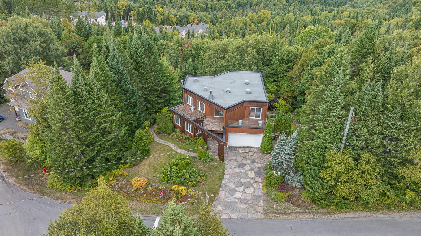 Photo aérienne - 19 Rue Des Chrysanthèmes, Sainte-Agathe-Des-Monts, QC - Outdoor With View