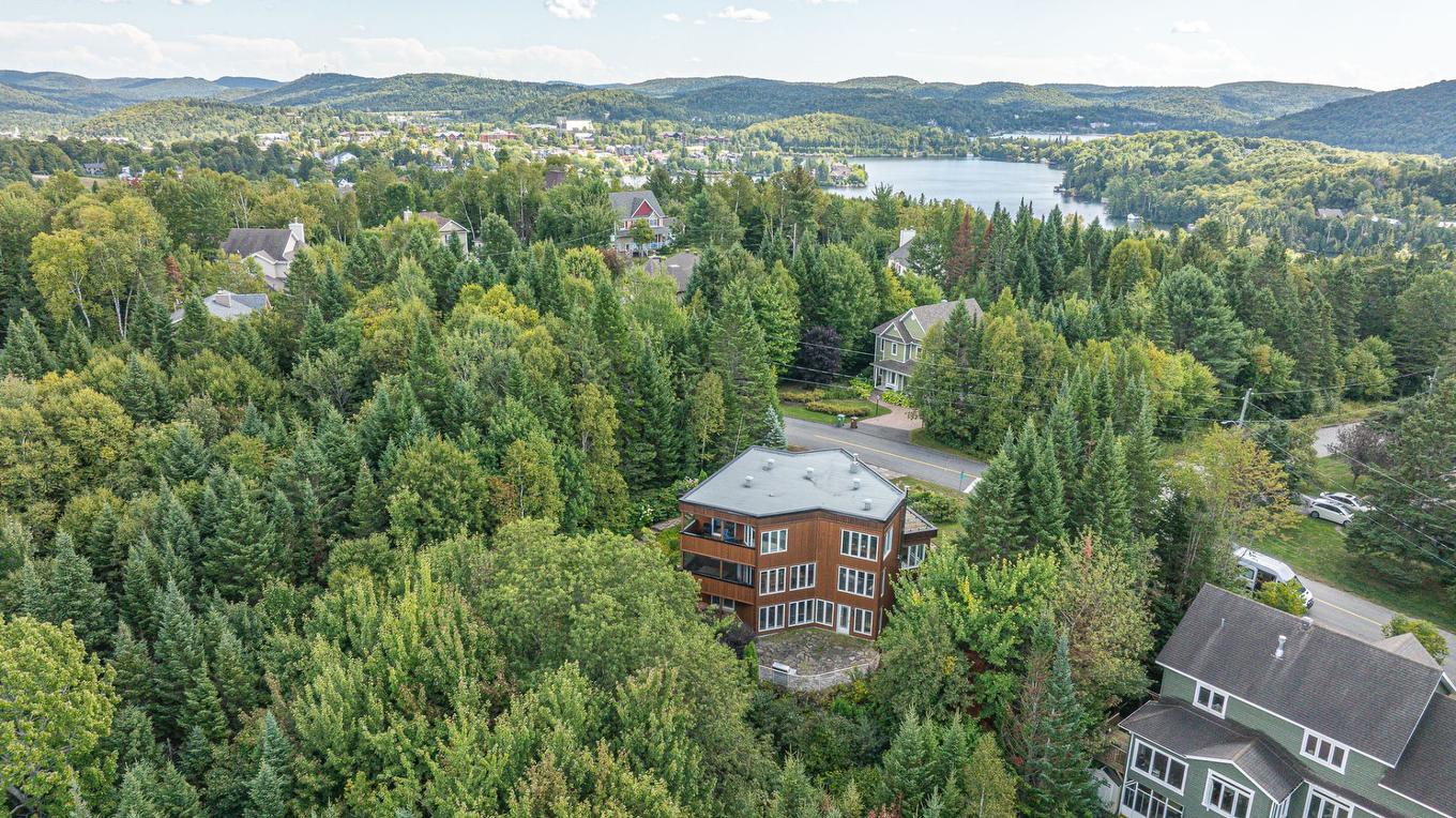 Photo aérienne - 19 Rue Des Chrysanthèmes, Sainte-Agathe-Des-Monts, QC - Outdoor With View