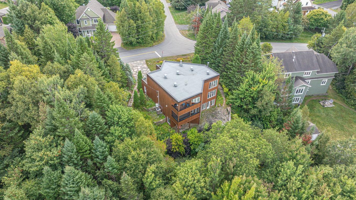 Photo aérienne - 19 Rue Des Chrysanthèmes, Sainte-Agathe-Des-Monts, QC - Outdoor With View