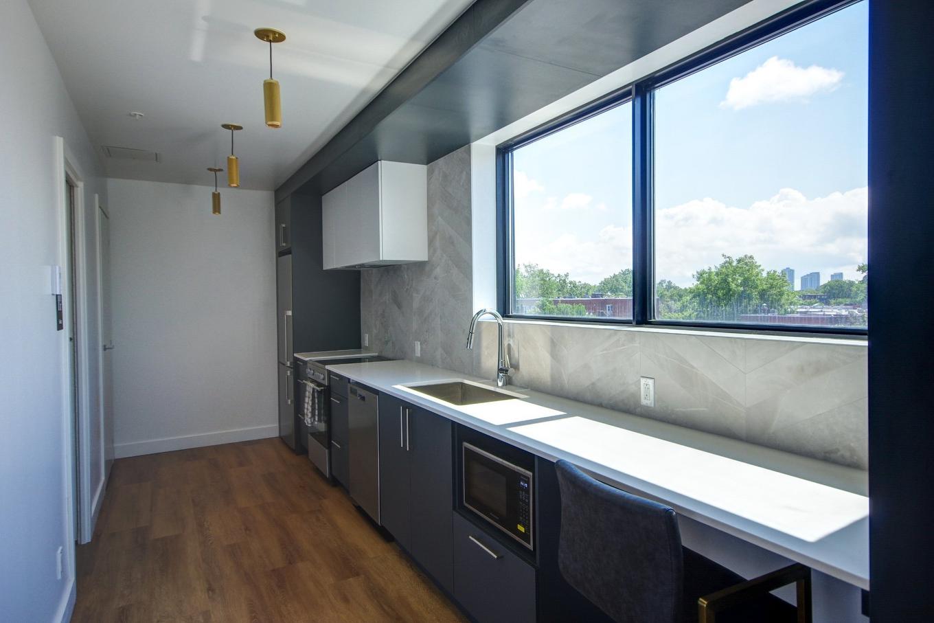Other - A308-2615 Rue Augustin-Cantin, Montréal (Le Sud-Ouest), QC - Indoor Photo Showing Kitchen With Upgraded Kitchen