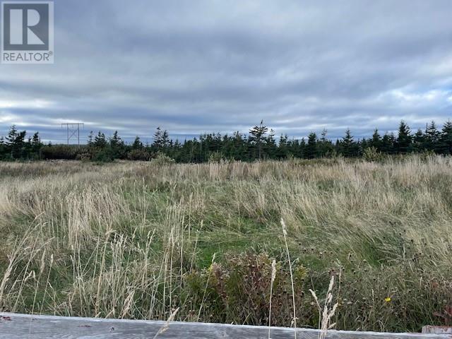 Lot 5 Mcisaac'S Lane, Port Au Port East, NL