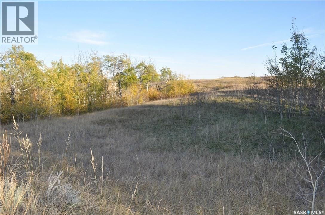 8 Peace Bay, Dundurn Rm No. 314, SK