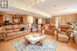 Lower level Rec Room w/ fireplace -