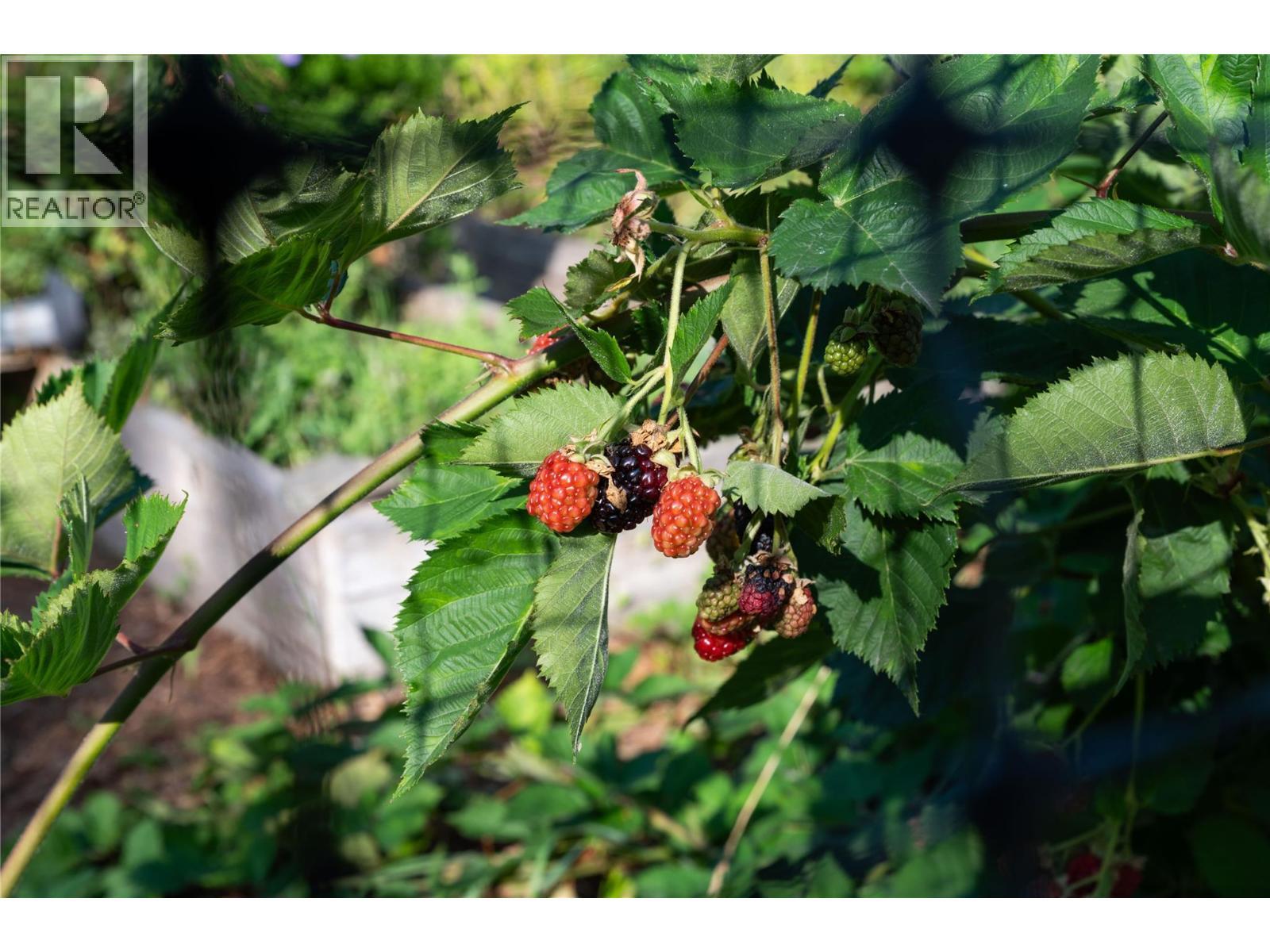 2506 Shuswap Avenue, Lumby, BC - Outdoor