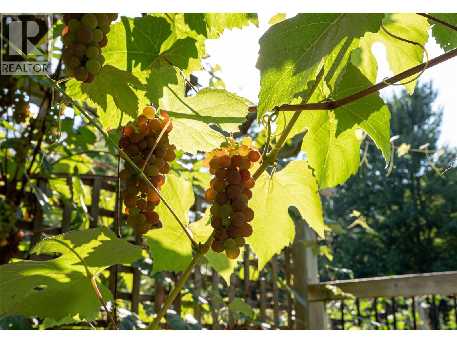 2506 Shuswap Avenue, Lumby, BC - Outdoor