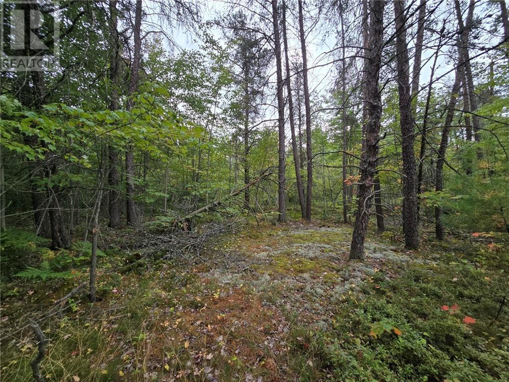 Pcl 18047A Hwy 607, Alban, ON - Outdoor With View