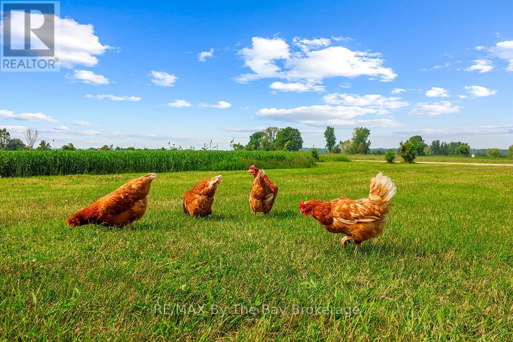 828482 Mulmur Nottawasaga Townline, Mulmur, ON