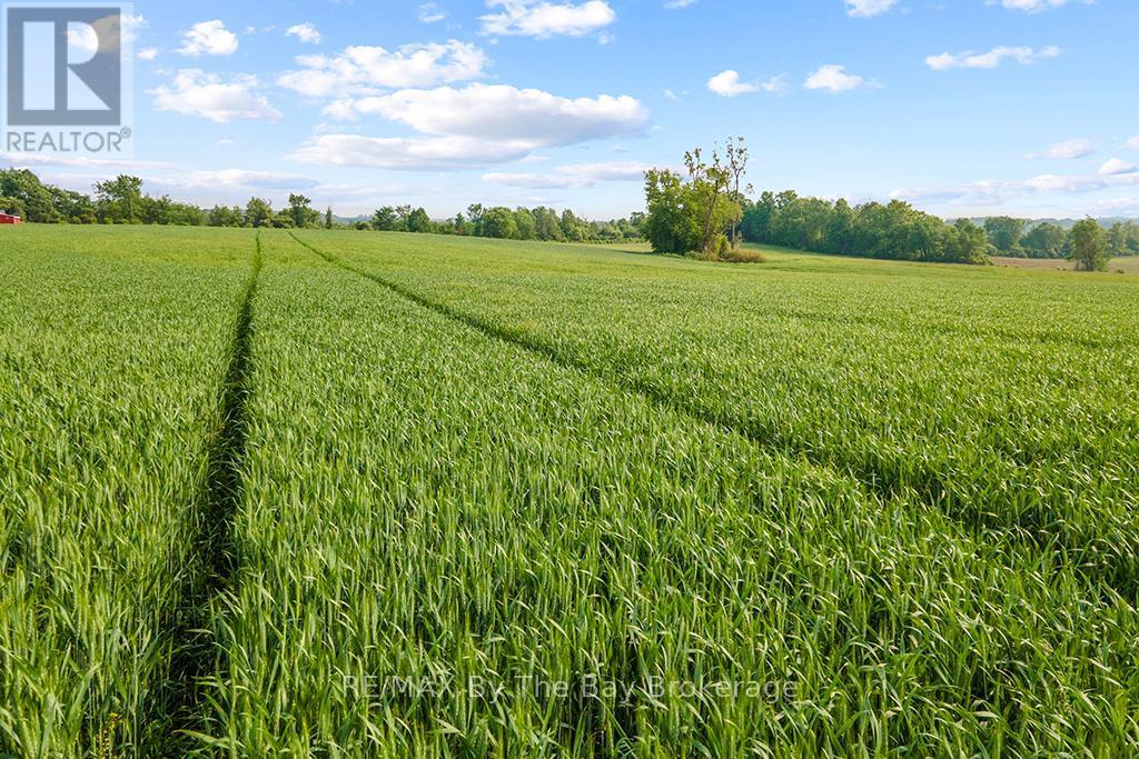 828482 Mulmur Nottawasaga Townline, Mulmur, ON