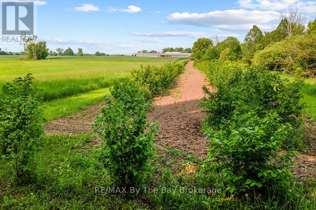 828482 Mulmur Nottawasaga Townline, Mulmur, ON