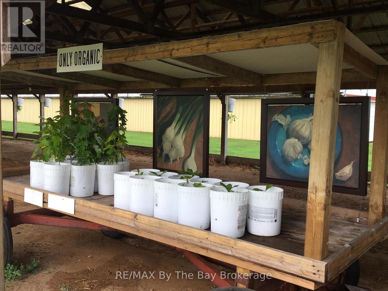 828482 Mulmur Nottawasaga Townline, Mulmur, ON