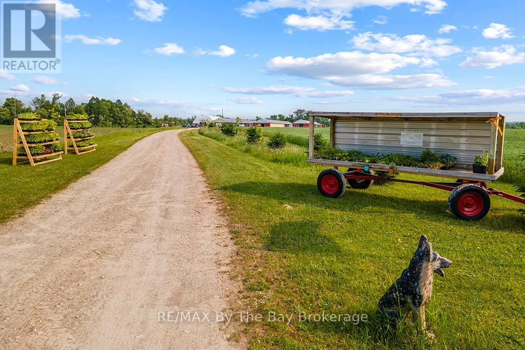 828482 Mulmur Nottawasaga T Line, Mulmur, ON