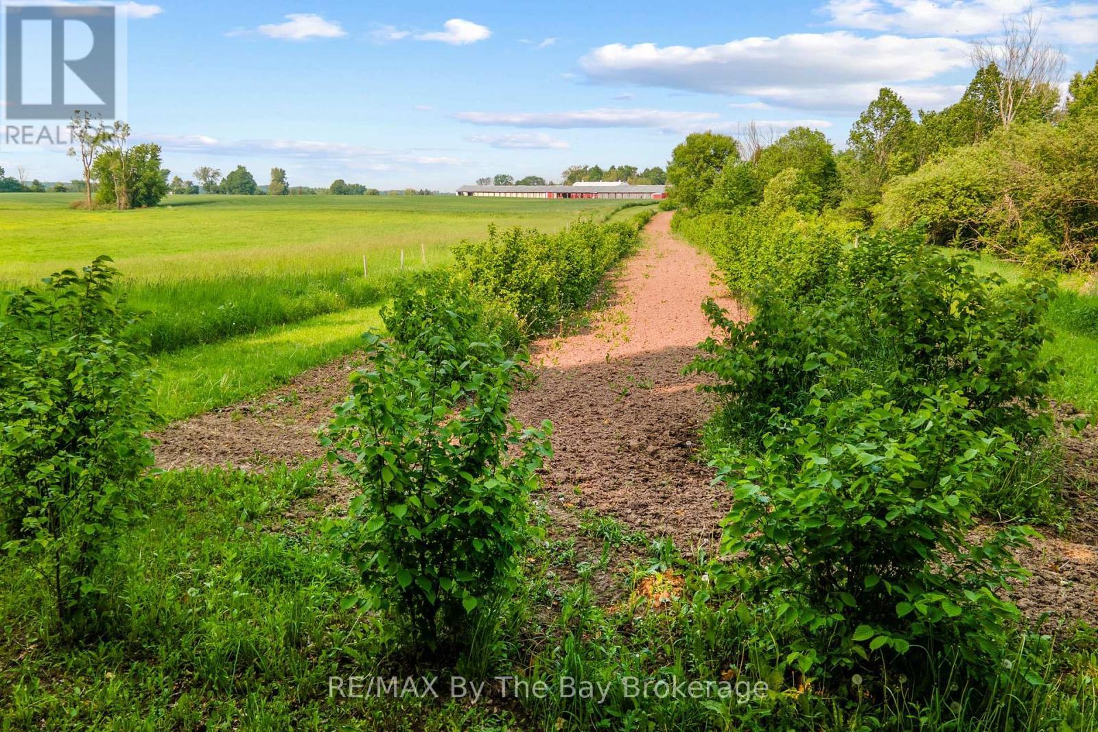 828482 Mulmur Nottawasaga T Line, Mulmur, ON