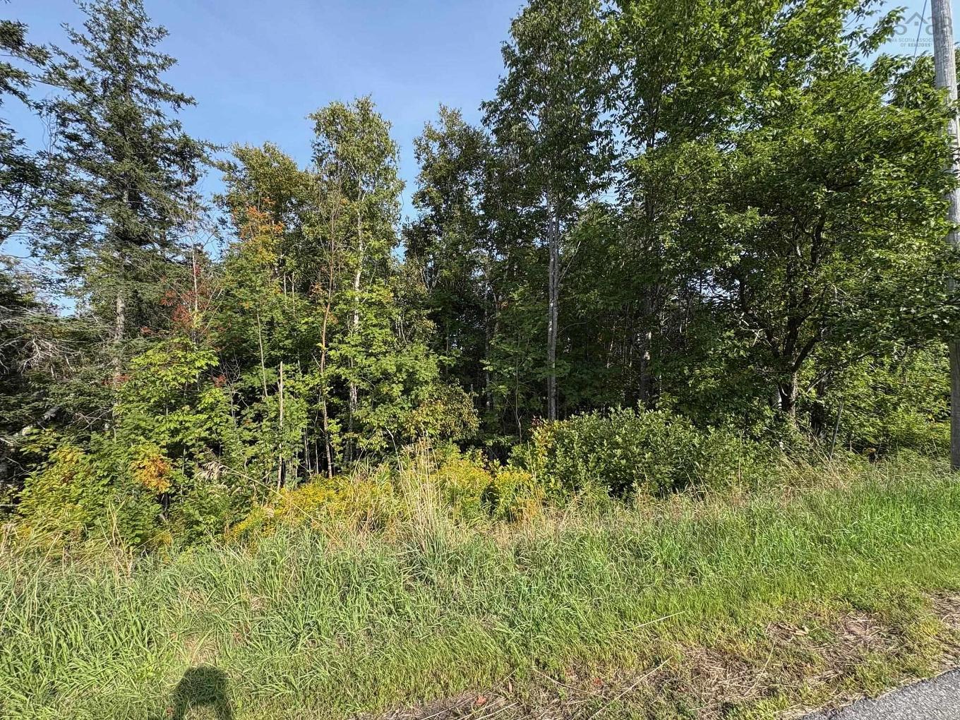 Thorburn Road, Thorburn, NS