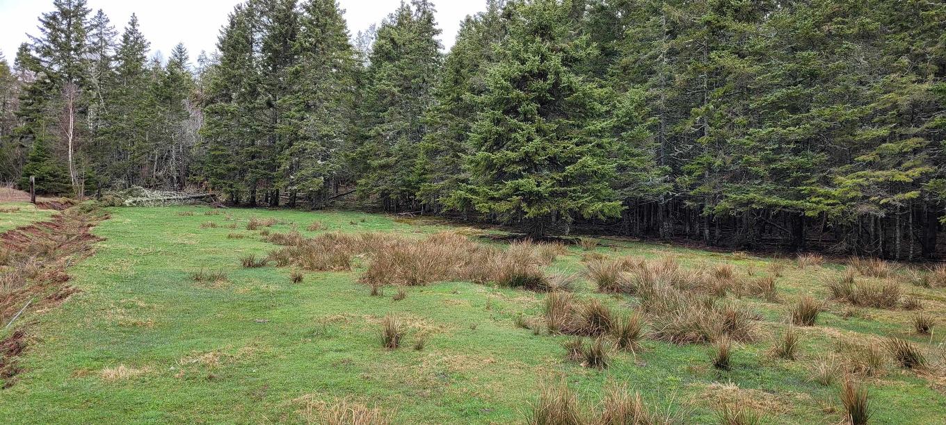 Acreage New Argyle Road, New Argyle, PE