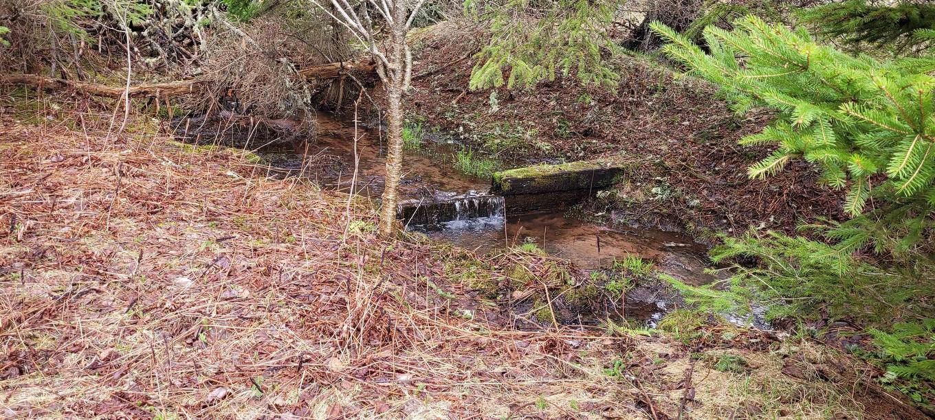 Acreage New Argyle Road, New Argyle, PE