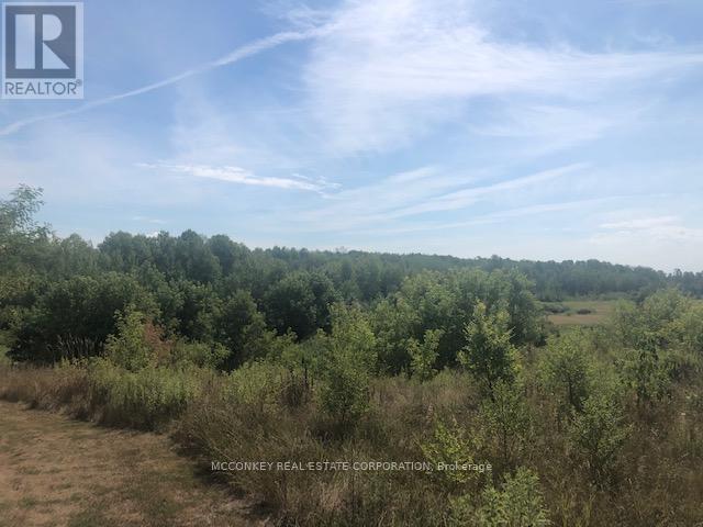 3931 Wallace Point Road, Otonabee-South Monaghan, ON