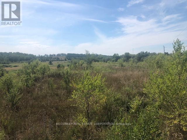 3931 Wallace Point Road, Otonabee-South Monaghan, ON