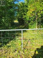 Bensfort Rd. Entrance -