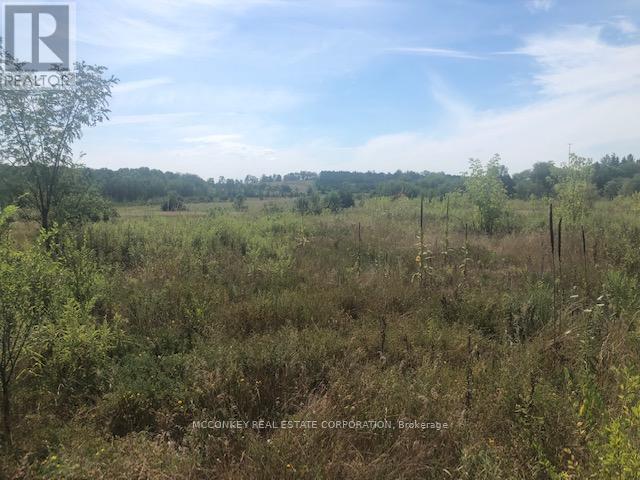 3931 Wallace Point Road, Otonabee-South Monaghan, ON