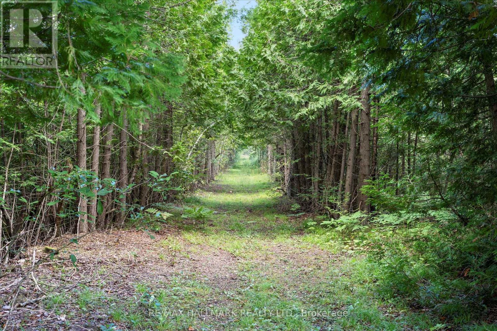 67 Telecom Road, Kawartha Lakes, ON - Outdoor