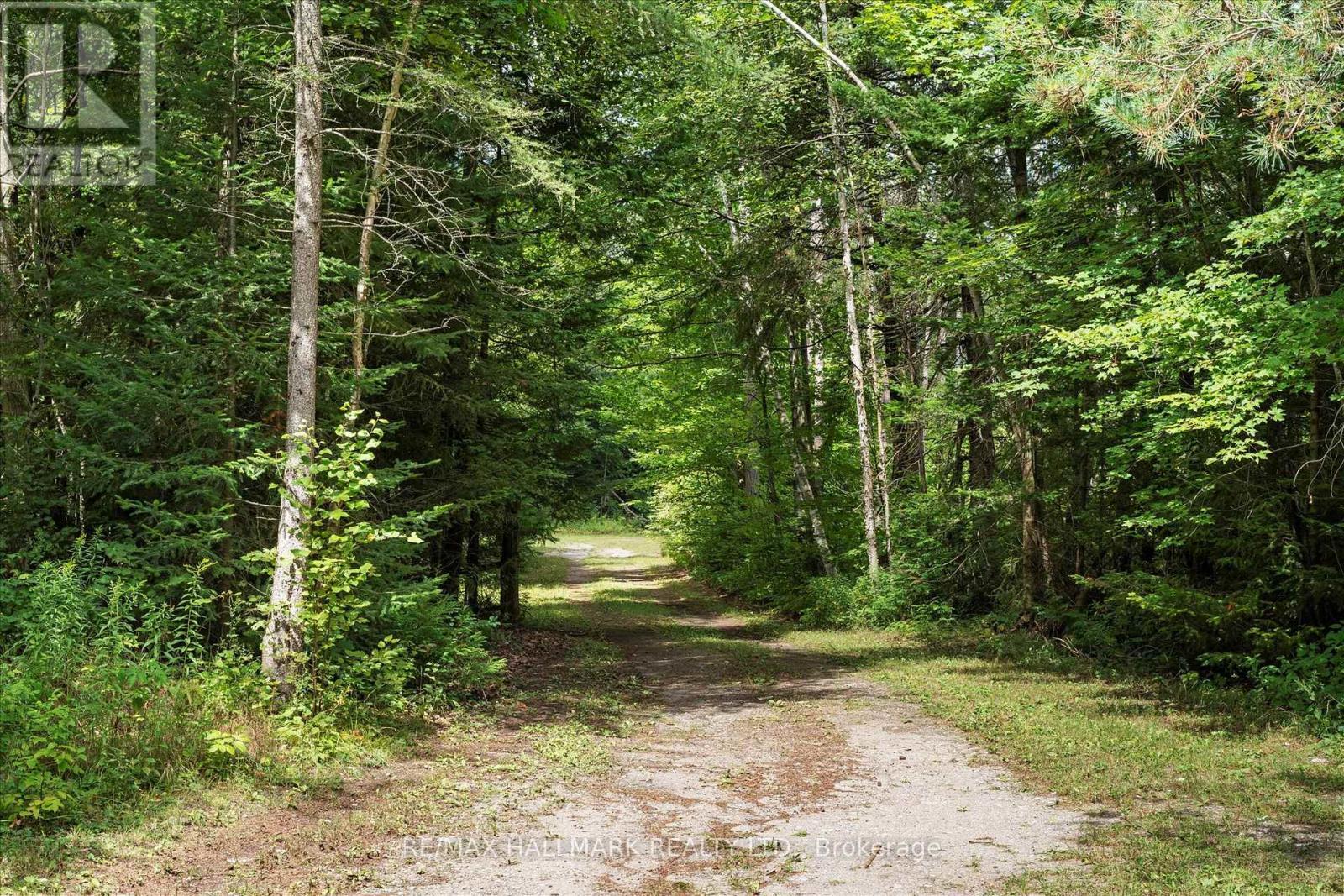 67 Telecom Road, Kawartha Lakes, ON - Outdoor