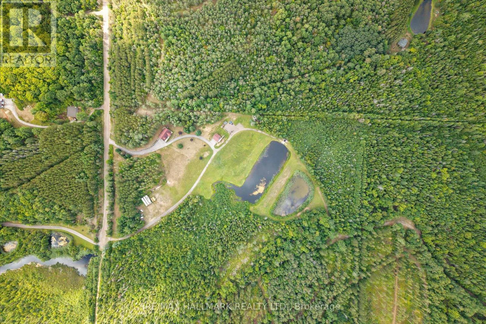 67 Telecom Road, Kawartha Lakes, ON - Outdoor