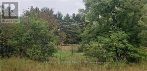 0 Albert Street S, Laurentian Hills, ON