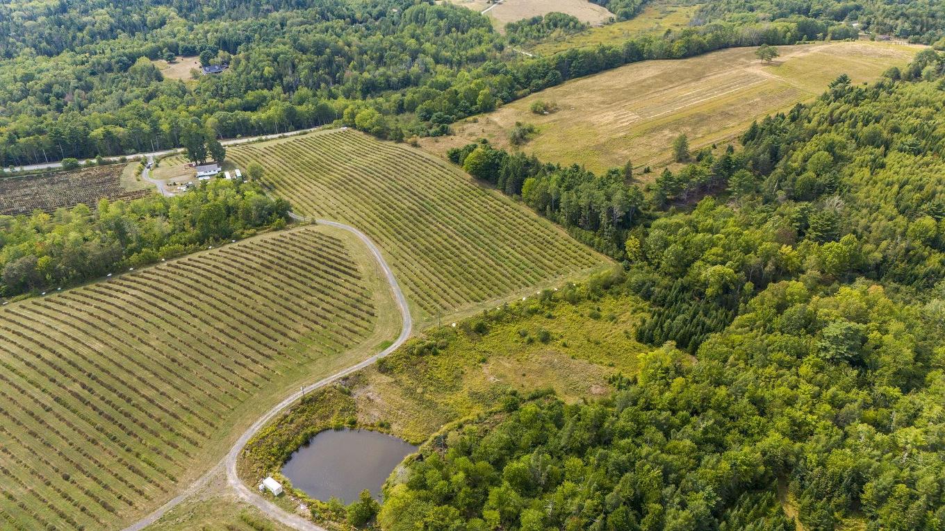 2242 Lower Branch Road, New Canada, NS