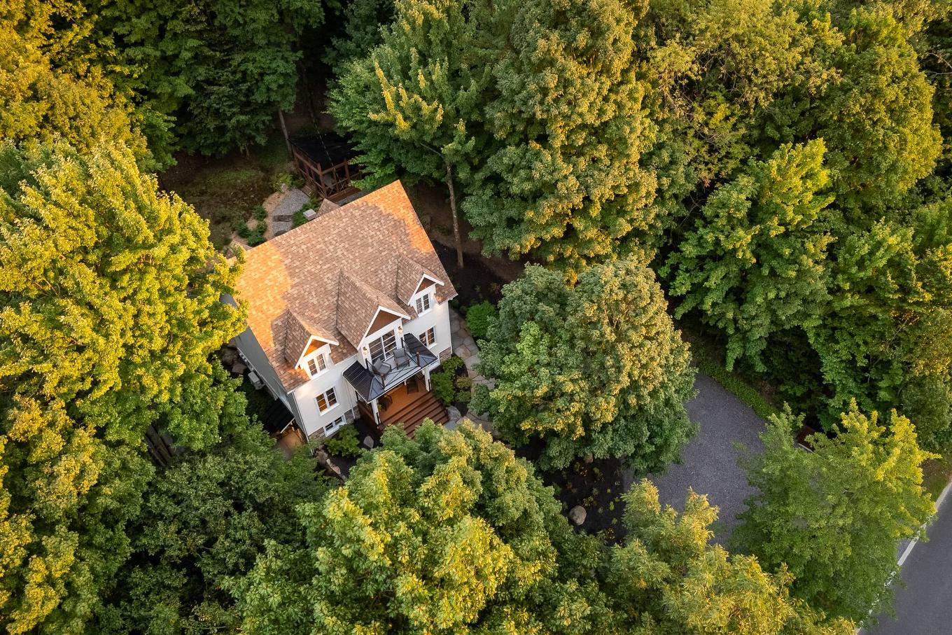 Vue d'ensemble - 120 Rue De Papineau, Bromont, QC - Outdoor