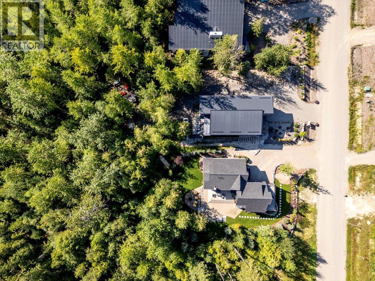 4600 Alpine Way, Fernie, BC - Outdoor With View