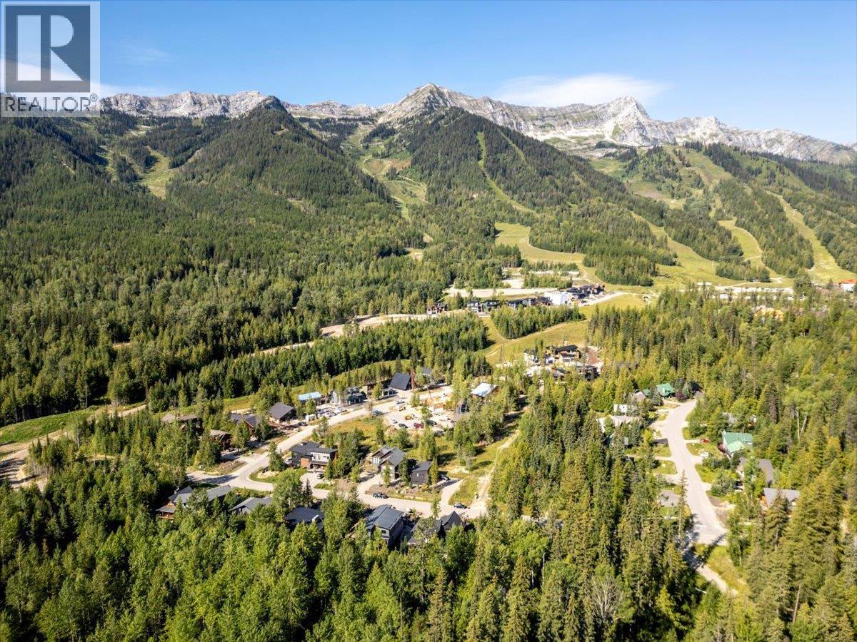 4600 Alpine Way, Fernie, BC - Outdoor With View