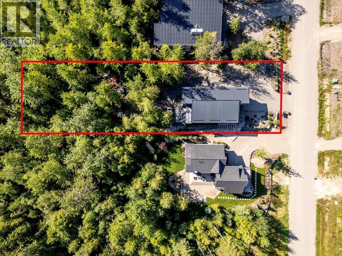 4600 Alpine Way, Fernie, BC - Outdoor With View